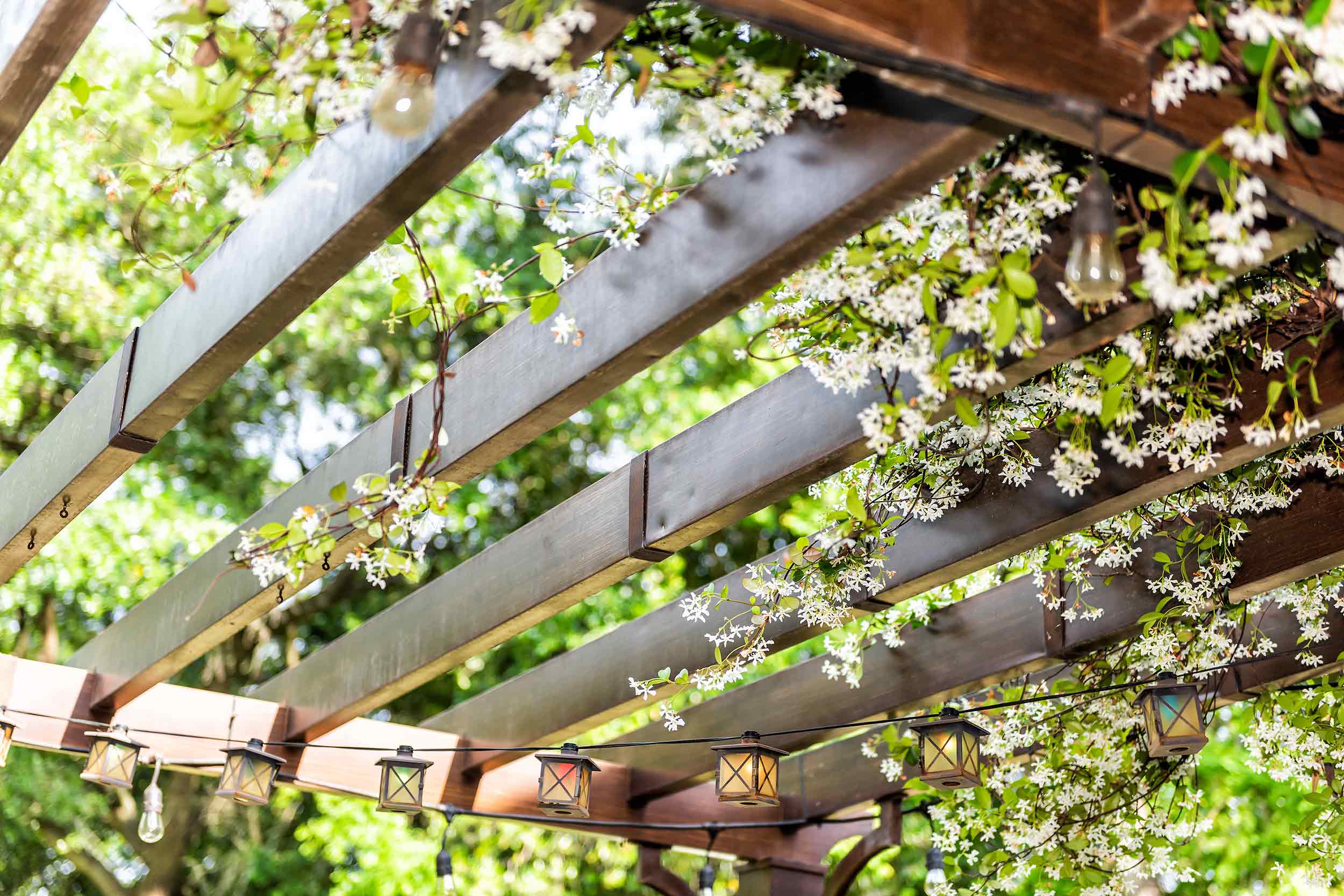 Hardscaping - Pergola with mature planting.